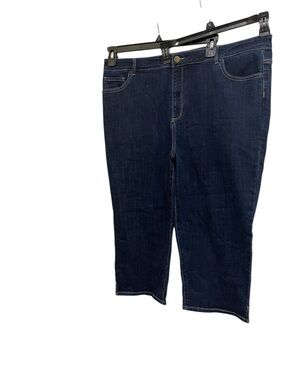 LOGO by LORI GOLDSTEIN STRAIGHT DENIM CROPPED PANTS WOMENS DARK BLUE SIZE 20W